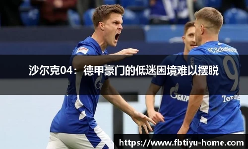 FB体育官网